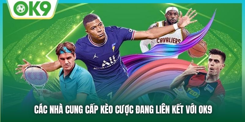 the-thao-ok9-kham-pha-san-choi-ca-cuoc-dang-cap-hang-dau-37